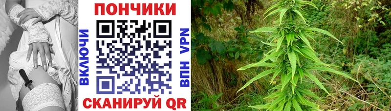 Галлюциногенные грибы Гдов