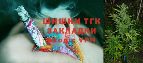 шишки Алексеевка