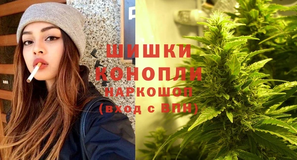 шишки Алексеевка